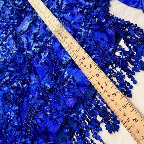 Blue sequins dress Latin Dance Dress 1920 Flapper Costume Size Medium - Picture 8 of 13